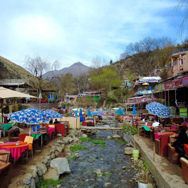 Excursion dans la Vallée de l'Ourika