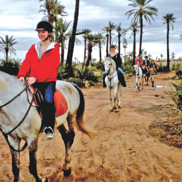 Balade à cheval à la Palmeraie